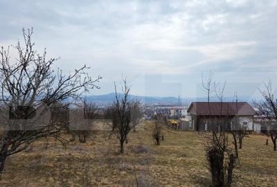 Teren extravilan de vanzare, 830 mp, Bistrita - 1