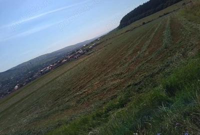 Teren de 8000 mp, în Chinteni - 10