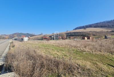 Teren 1000 Mp Intravilan De Vanzare, Langa Lac, Ivanesti - 1