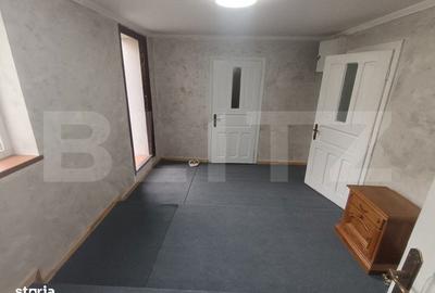 Spațiu comercial, de 230 mp, în Paltin - 1