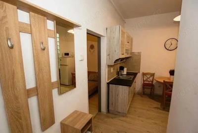 Apartament cu 2 camere decomandat în Ultracentral - 5