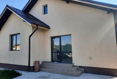 Case de vanzare in Domnesti - 3