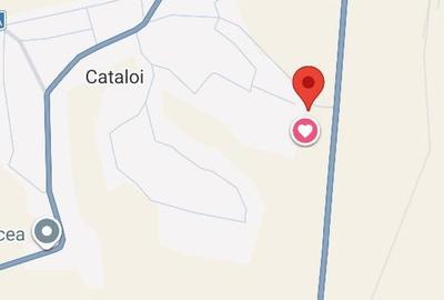 Spațiu comercial, în Mineri - 1