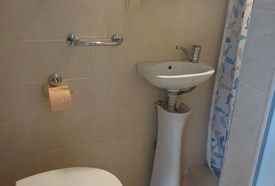 Închiriere ap. 1 cameră, sup. 40 mp. în Centru, zona Prefecturii - 7