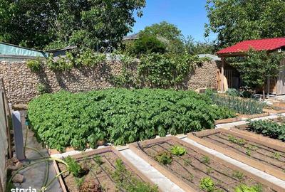 Casă cu 3 camere cu Teren 85 Mp în Moara Vlăsiei - 5