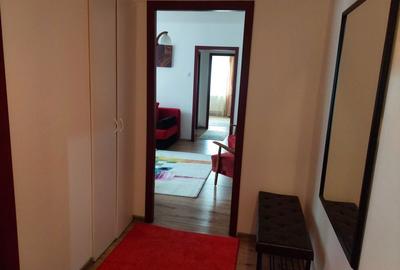 Apartament cu 2 camere semidecomandat în Podu Roș - 6