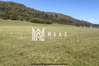 Teren Extravilan | 7.500 Mp | Sacadate - 1