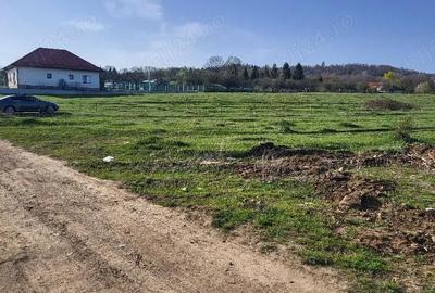 Teren de 7500 mp, în Voila - 1