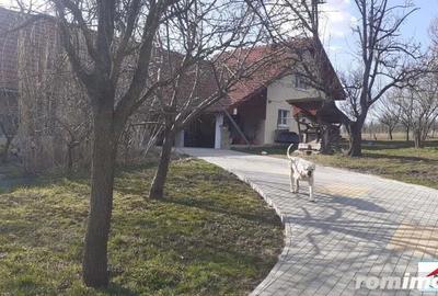 Casă cu 7 camere cu Teren 3200 Mp în Viile Satu Mare - 2