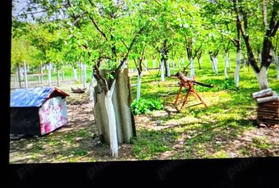 Vind casa in Herneacova - 5