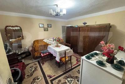 Casa, Comuna Apa ,Sat Someseni, 50mp, 17 ari teren - 1