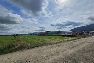 Spațiu comercial, în Central - 2