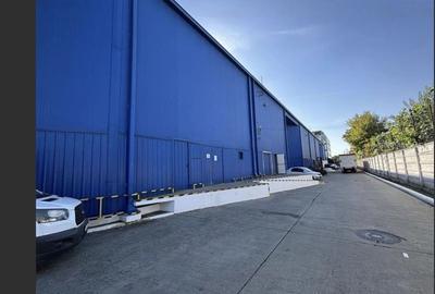 Spațiu industrial, de 15,000 mp, în Mogoșoaia - 3