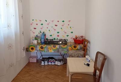 Casă cu 2 camere în Alexandriei - 3