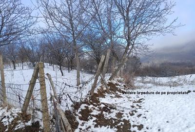 Teren de 2500 mp, în Dealu Cucului - 1