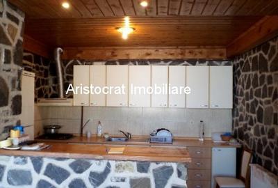 Vila deosebita pe malul lacului Corbeanca Vila deosebita pe malul lacului Corbeanca - 14