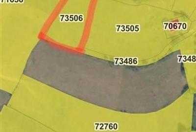 RECO Teren intravilan in Arieseni 1700mp cu Utilitati - 4