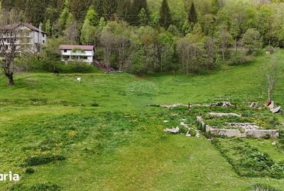 Teren de 10000 mp, în Rucăr - 2