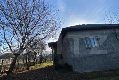 Casa de vanzare in Bistri?a-Bargaului cu 30 arii teren - 3