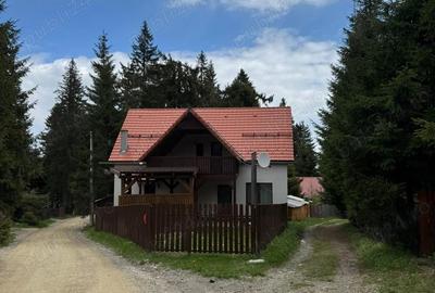 Vila de vanatoare in Santimbru-Bai - 13