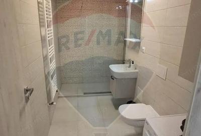 Apartament cu 2 camere de inchiriat in zona Libertatii Tg Mures - 13