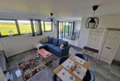 RECO Apartament tip penthouse in Baile Felix - 1