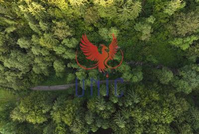 Teren Construcții extravilan de 18000 mp, în Exterior Est - 21