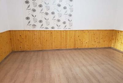 VAND casa renovata, luminoasa cu tavan inalt ,utila pentru orice destinatie,in Jimbolia. - 8