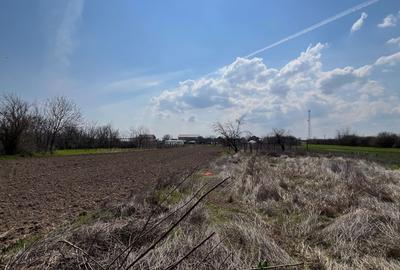 Teren de 1350 mp, în Leu - 4