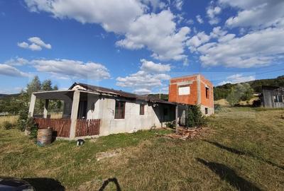 De vanzare casa, zona turistica Vadu Crisului - Bratca, cu teren 5000 mp - 11