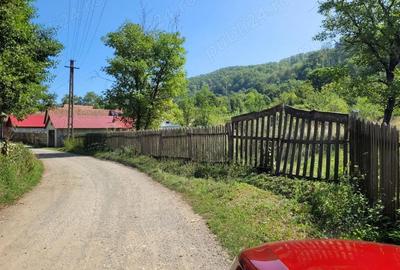 Teren de 1400 mp, în Săvârșin