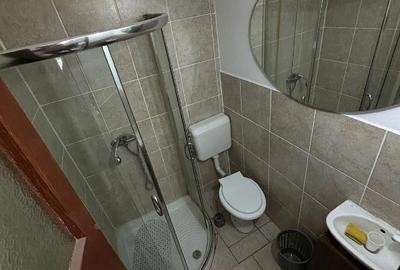 Garsonieră decomandată în 1 Decembrie - 1