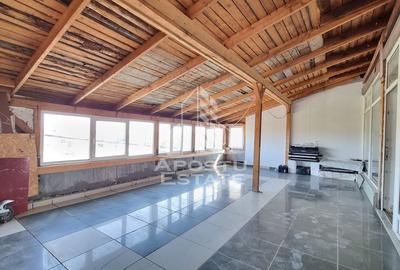 Casa individuala situata in zona Mehala - 19