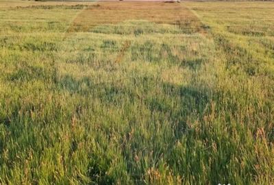 Teren de 11000 mp, în Periferie