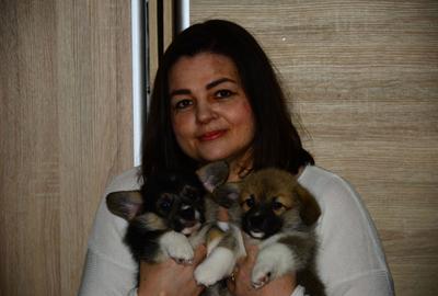 Casă cu 3 camere în Militari - 2