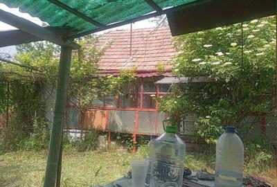 Casă cu 3 camere în Dăbâca - 6