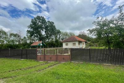 Casă cu 2 camere în Alimpești - 6