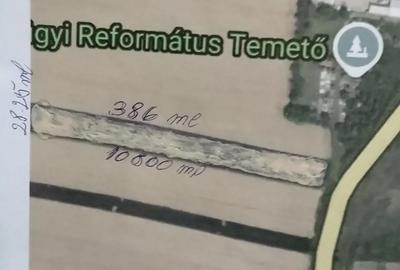 Teren de 10800 mp, în Tămășeu - 2