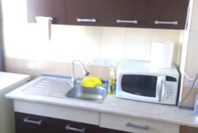 Titan METROU,Parc,Park Lake DRISTOR ,Renovata,Libera - 2