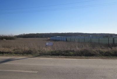 Teghes-Padurarului - 6