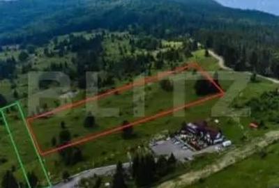 Teren de 5000 mp, în Moroeni - 1