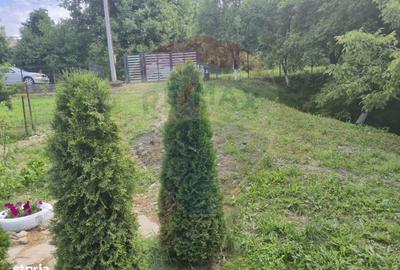 Casă cu 3 camere cu Teren 1268 Mp în Săpânța - 2