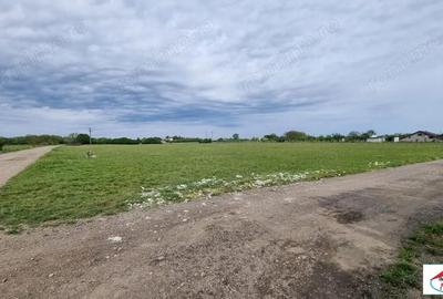 Teren de 5000 mp, în Careiului - 3