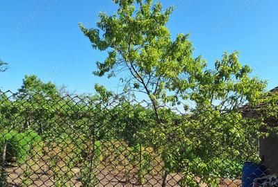 Casă cu 6 camere în Pădina - 7