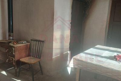 CASĂ PĂLTINIȘ\JUD. CARAȘ-SEVERIN\ COMISION 0% - 18