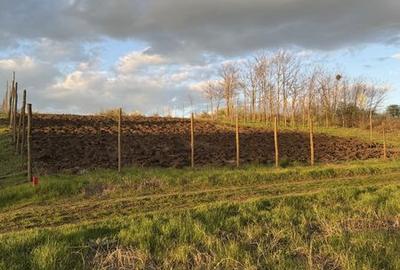 Teren de 2200 mp, în Iepurești - 3