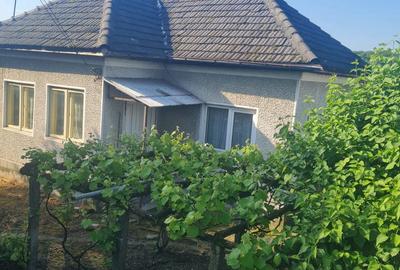 Casă cu 6 camere în Budești - 8