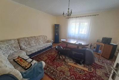 Casa individuala pe parter Sagului-Liviu Rebreanu - 29