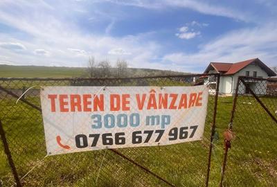 Spațiu comercial, în Bunești - 6