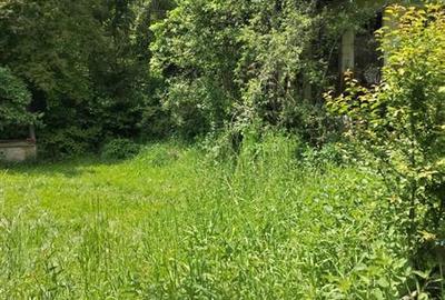 Casă cu 2 camere cu Teren 5090 Mp în Exterior Est - 17